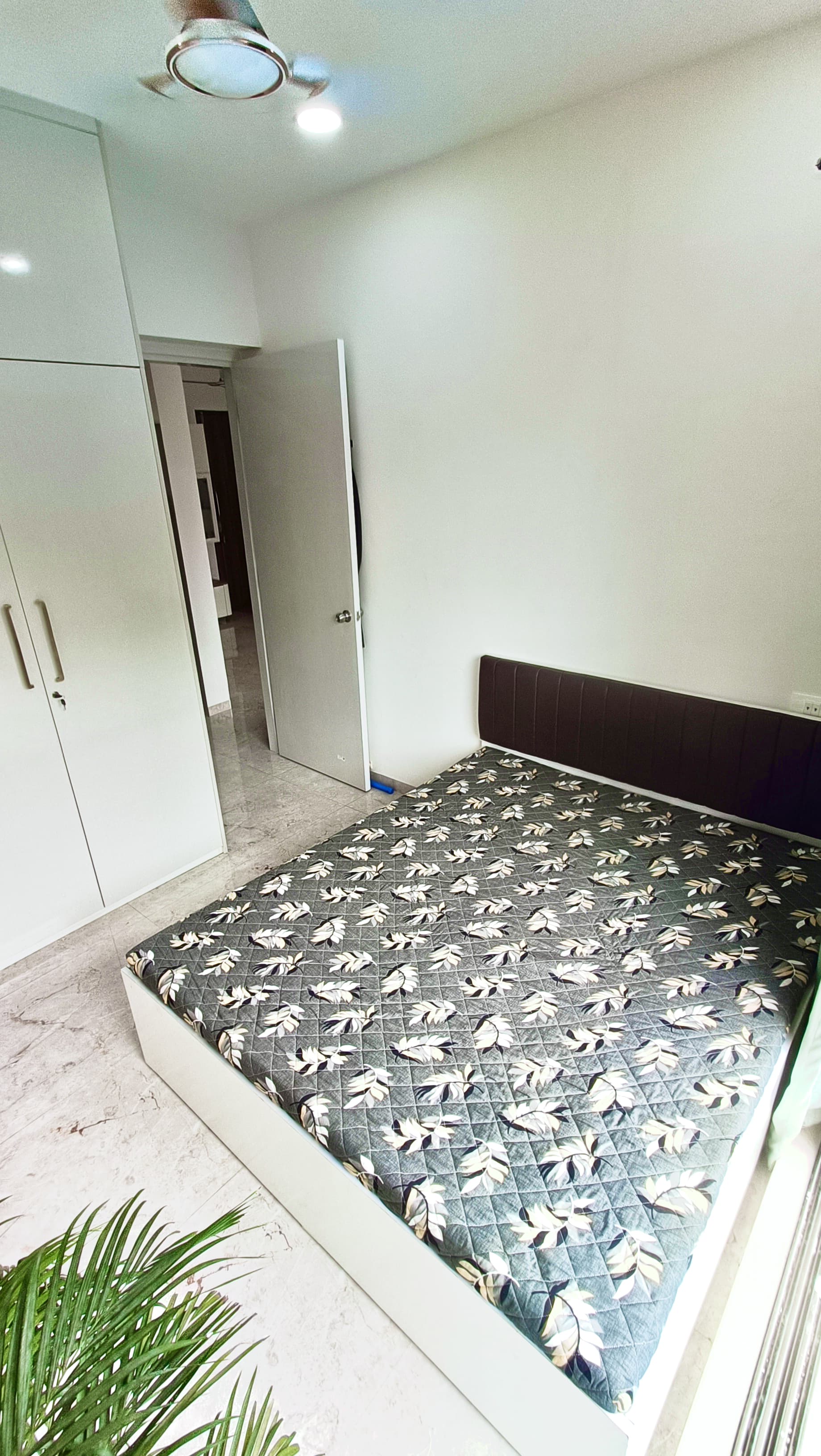 2 BHK + Study Room Apartment For Rent in Salarpuria Sattva Exotic