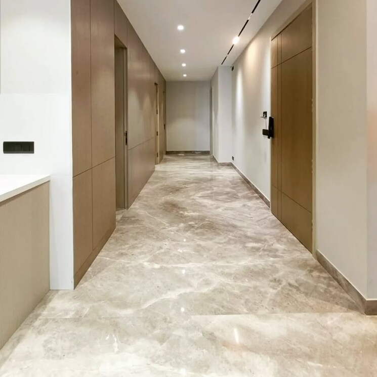 Room, south extension ii 4 Bedroom 3600 Sq.Ft. Builder Floor In South Extension ii Delhi 8988224