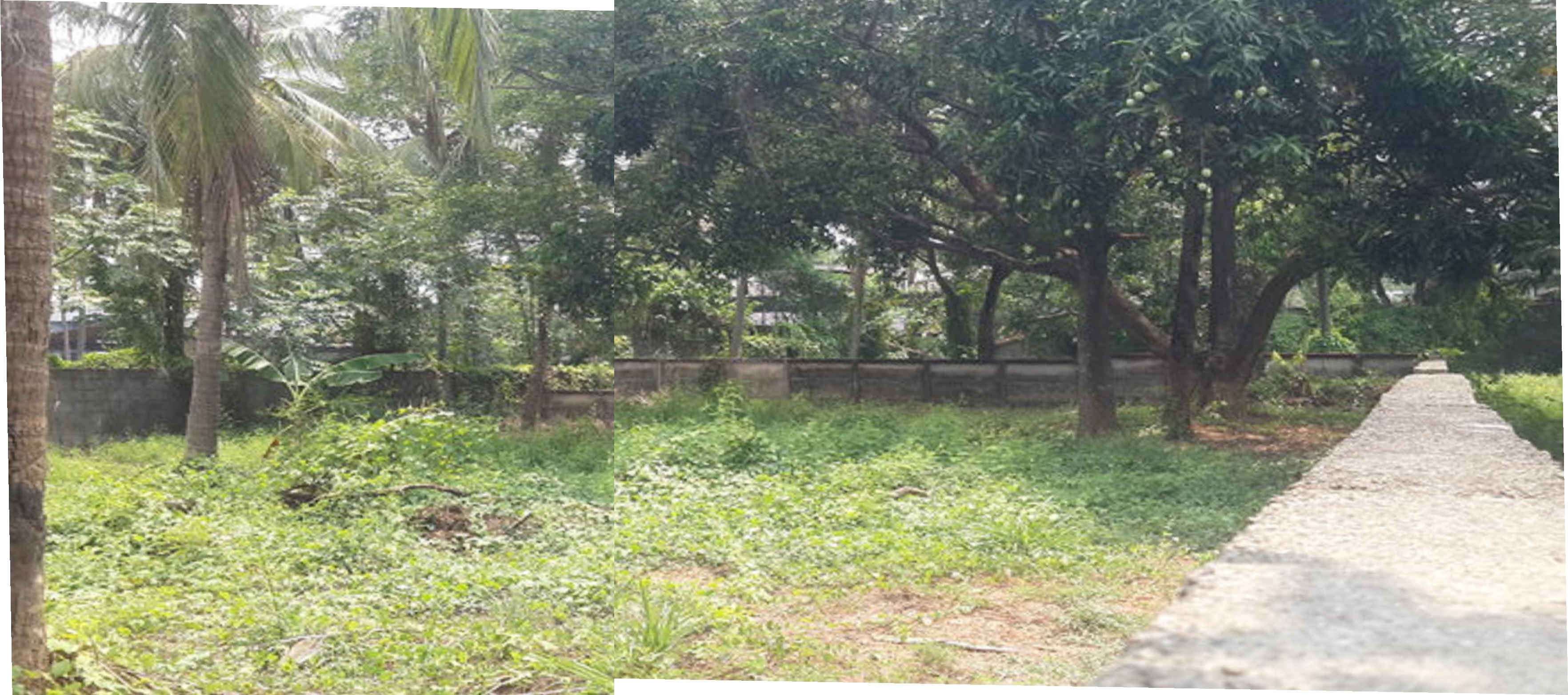 Plot For Sale in Thrissur Road