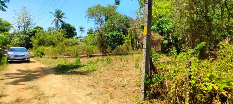 Garden, thrissur road  4791 Sq.Ft. Plot In Thrissur Road Thrissur 8988201