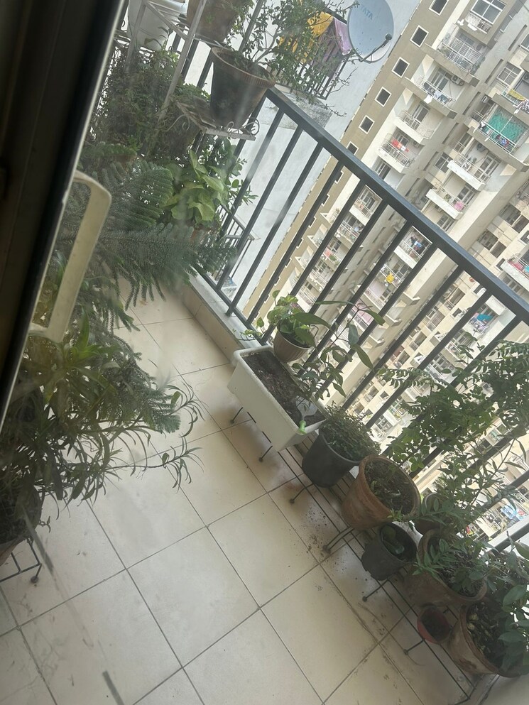 Balcony, panchsheel-hynish 3 Bedroom 1250 Sq.Ft. Apartment In Sector 1 Greater Noida Greater Noida 8988438