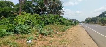  Land For Sale in Nadathara