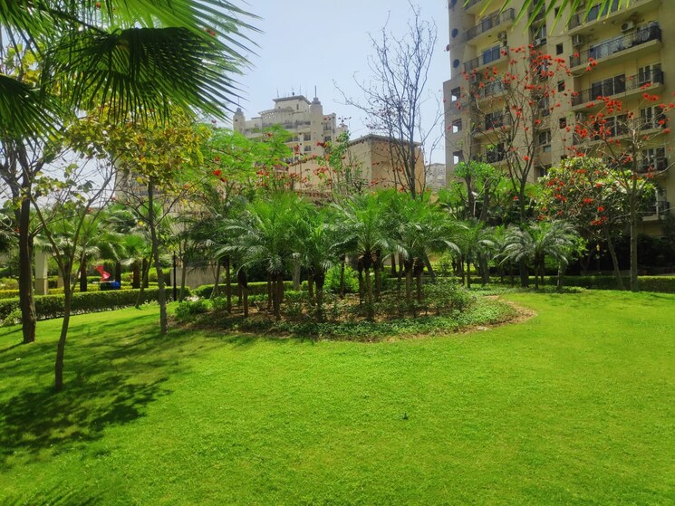 Garden, ats-paradiso 3 Bedroom 1600 Sq.Ft. Apartment In Chi Iv Greater Noida Greater Noida 8988515