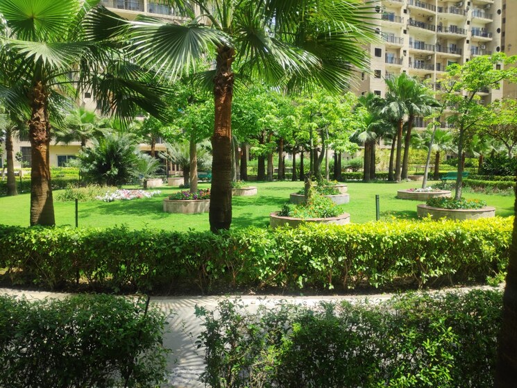 Garden, ats-paradiso 3 Bedroom 1600 Sq.Ft. Apartment In Chi Iv Greater Noida Greater Noida 8988515
