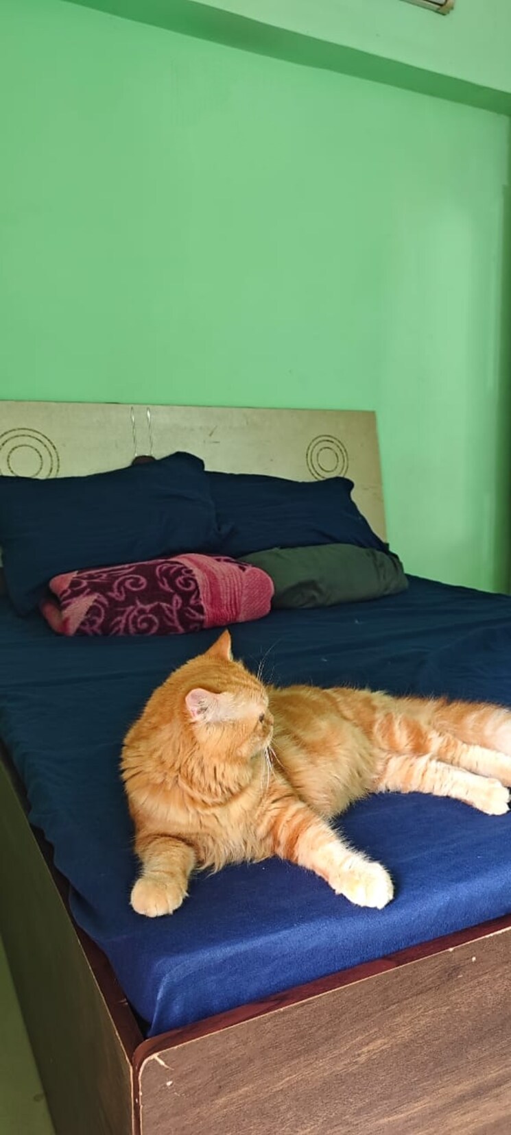 Bedroom, vijay-park 1 Bedroom 420 Sq.Ft. Apartment In Kasarvadavali Thane 8988649