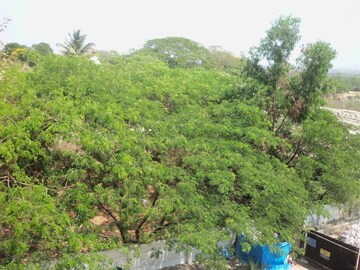 2 BHK Apartment – Garden View at Devashree Park, Kolshet Road - for Rent