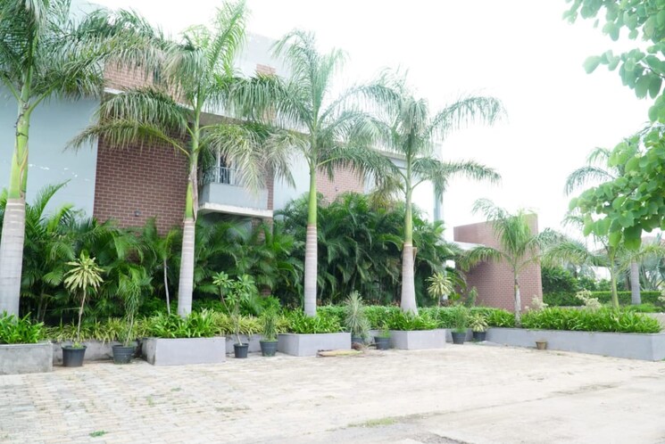 Exterior View, vidhan sabha marg  1500 Sq.Ft. Plot In Vidhan Sabha Marg Raipur 8988841