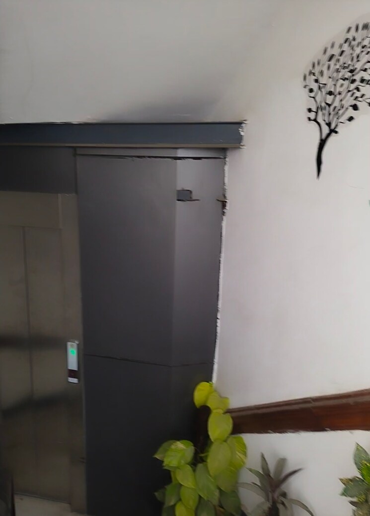 undefined, mayur vihar phase 1 4 Bedroom 1350 Sq.Ft. Builder Floor In Mayur Vihar Phase 1 Delhi 8989068