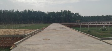 Plot Area in  Plot at Sector 122 – for Sale