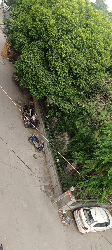 Plot Area in 2 BHK Builder Floor at Ashok Nagar – for Rent