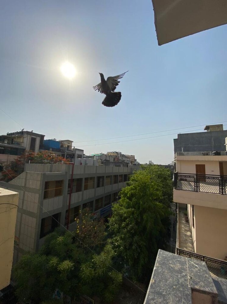 Exterior View, mayur vihar phase 1 3 Bedroom 900 Sq.Ft. Builder Floor In Mayur Vihar Phase 1 Delhi 8989297