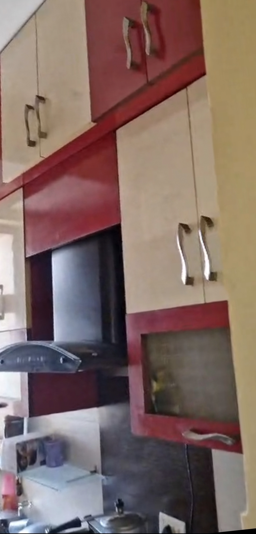 2 BHK Apartment For Rent in Panchsheel Wellington