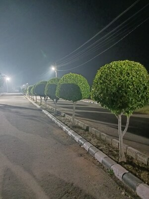  Plot For Sale in RTS Katyani Apartments, Sector 51