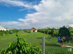  Plot – Garden View at RTS Katyani Apartments, Sector 51 - for Sale