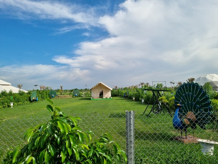 Garden, rts-katyani-apartments  100 Sq.Yd. Plot In Sector 51 Faridabad 8989341