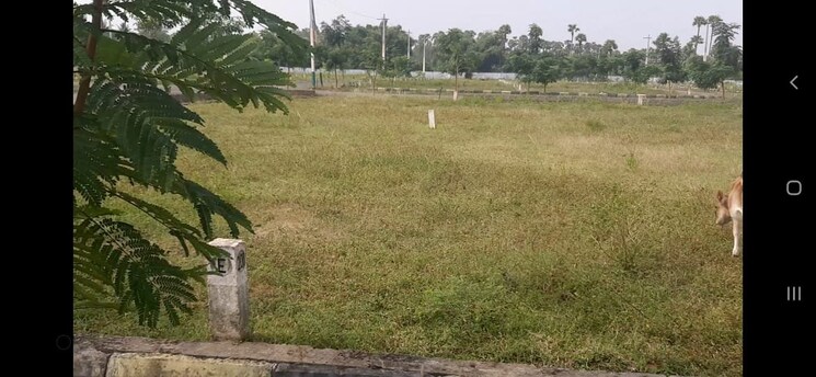 undefined, bbg-kohinoor-gateway-executive  200 Sq.Yd. Plot In Bhogapuram Vizag 8989526