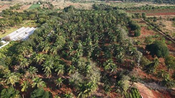 Plot Area in  Land at Thanisandra Main Road – for Sale