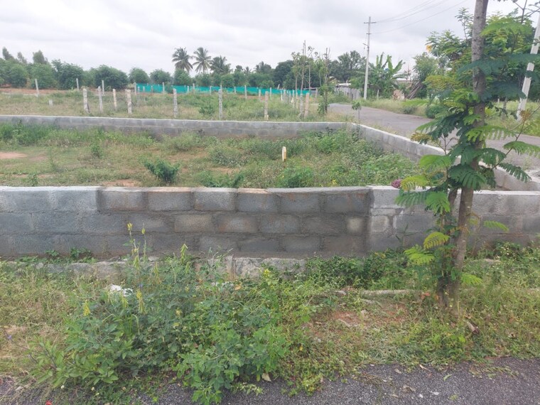 undefined, sizzle-orchids  1200 Sq.Yd. Plot In Hoskote Malur Road Bangalore 8990038