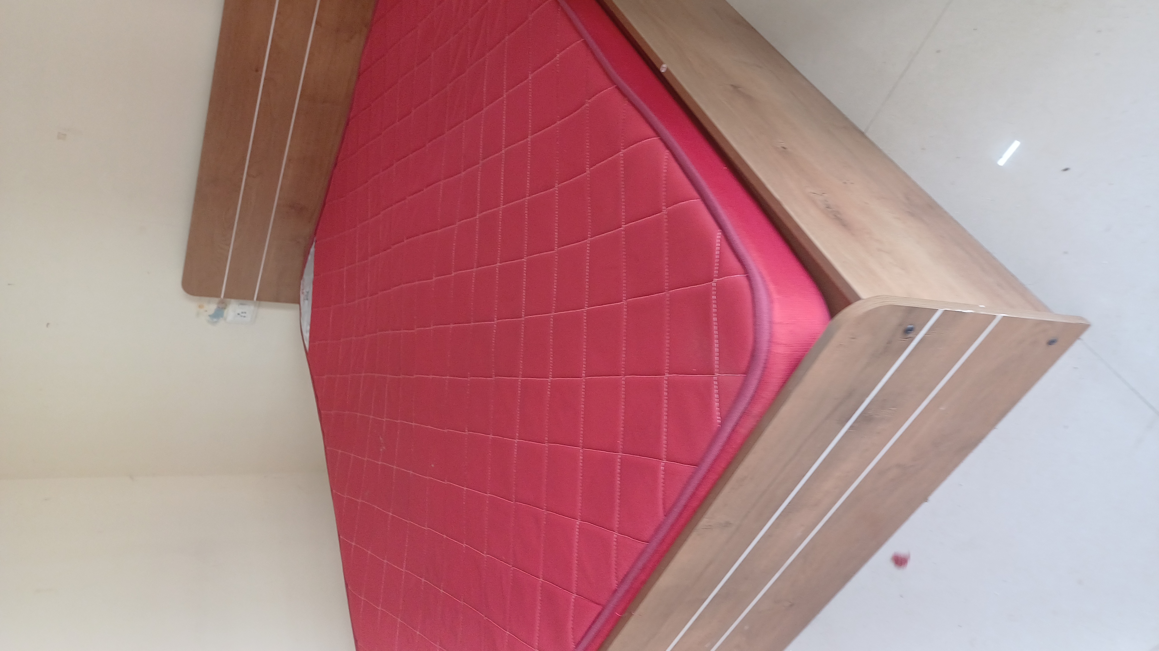 1 BHK Apartment For Rent in Amresh Property Ghansoli 