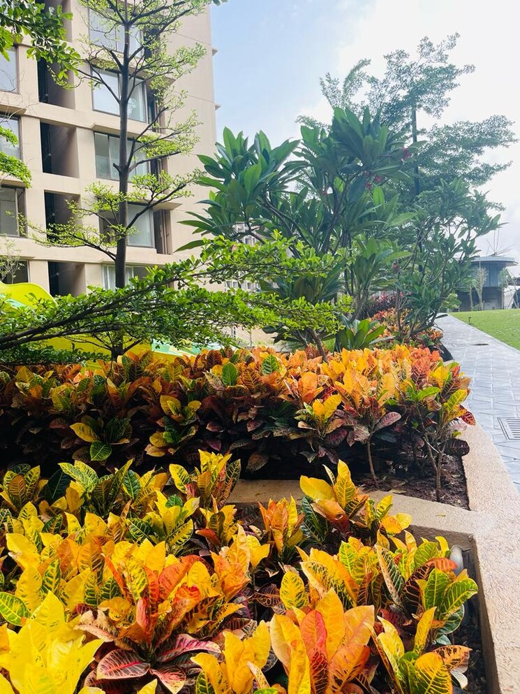 Garden, kanakia-silicon-valley 4 Bedroom 1500 Sq.Ft. Apartment In Powai Mumbai 8990193