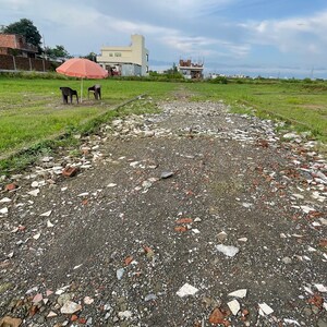 Plot Area in  Plot at Harbhaj Wala – for Sale