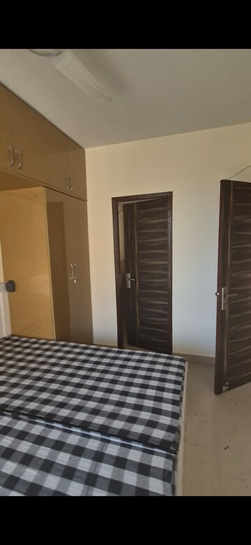 2 BHK Apartment For Rent in HCBS Sports Ville, Sohna Sector 35