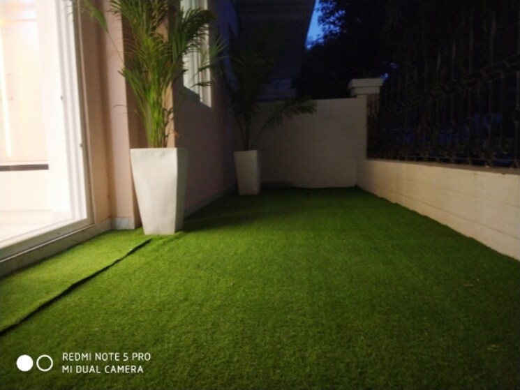 Room, today-princeton-floors 3 Bedroom 220 Sq.Yd. Builder Floor In Sector 51 Gurgaon 8990954