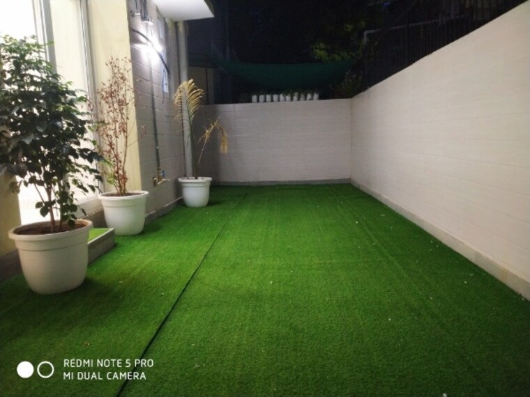 Living Room, today-princeton-floors 3 Bedroom 220 Sq.Yd. Builder Floor In Sector 51 Gurgaon 8990954