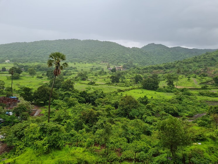 Exterior View, haware-citi Studio 395 Sq.Ft. Apartment In Ghodbunder Road Thane 8990999