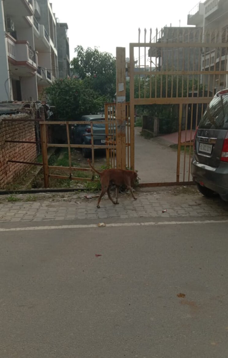 Exterior View, govindpuram  118 Sq.Yd. Plot In Govindpuram Ghaziabad 8991015