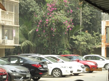 Parking in 1 BHK Apartment at Priyadarshini CHS Dadar, Dadar West – for Sale