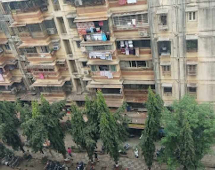 1 BHK Apartment For Rent in Dhiraj CHS