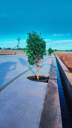  Plot – Exterior View View at Kk Nagar - for Sale