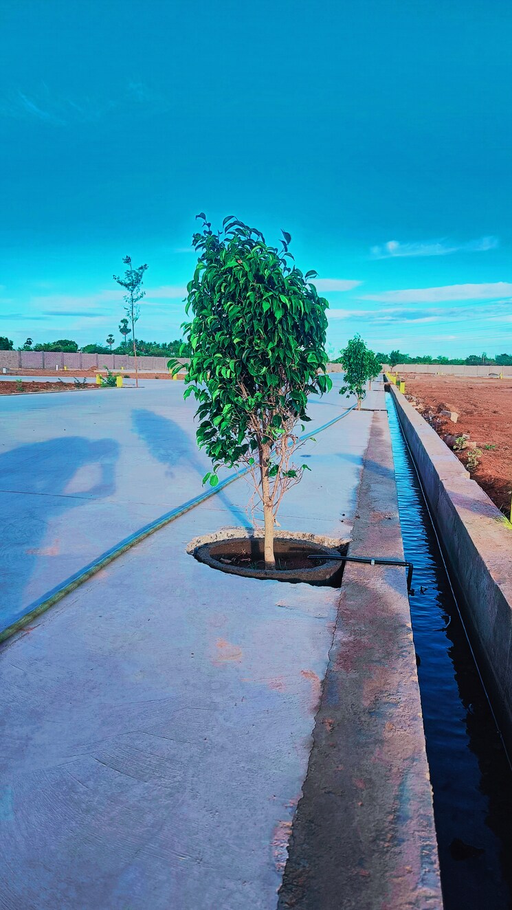 Exterior View, kk nagar  1200 Sq.Ft. Plot In Kk Nagar Trichy 8991193