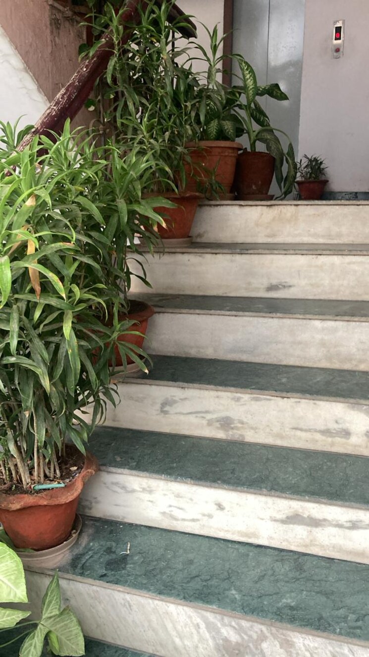 undefined, mahanagar 2 Bedroom 1650 Sq.Ft. Apartment In Mahanagar Lucknow 8991618