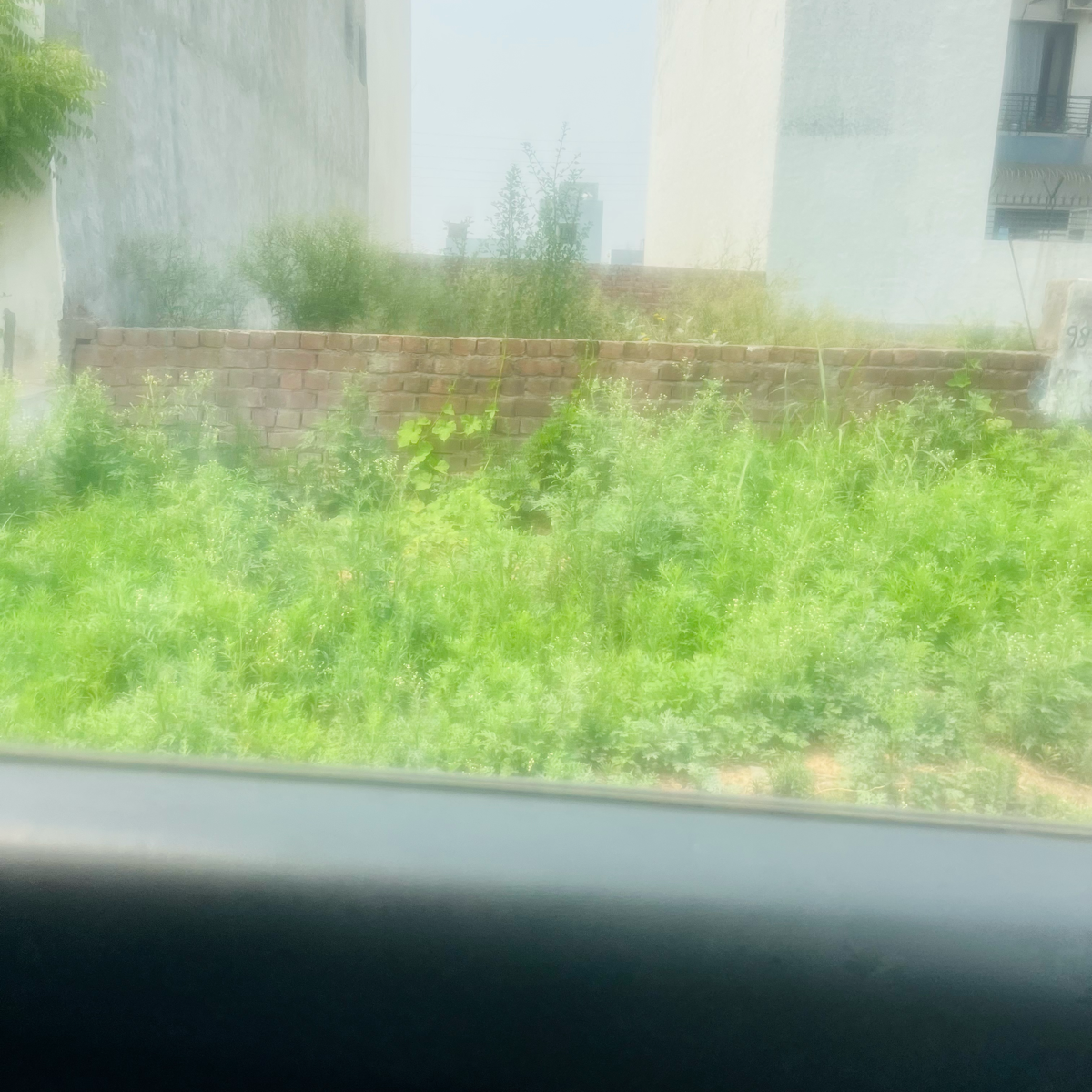 Plot For Sale in Dealer 