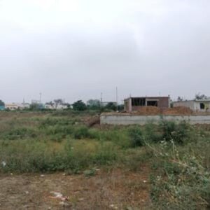  Plot For Sale in Sector 8