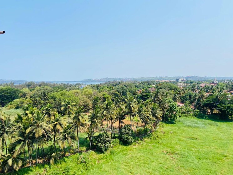 Garden, miramar 3 Bedroom 237 Sq.Mt. Apartment In Miramar Goa 8991963