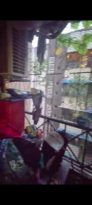 2 BHK Apartment – Map Location View at Queens Park, Mira Road - for Sale