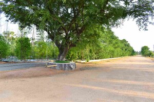 Plot Area in  Plot at Bhuvanagiri – for Sale