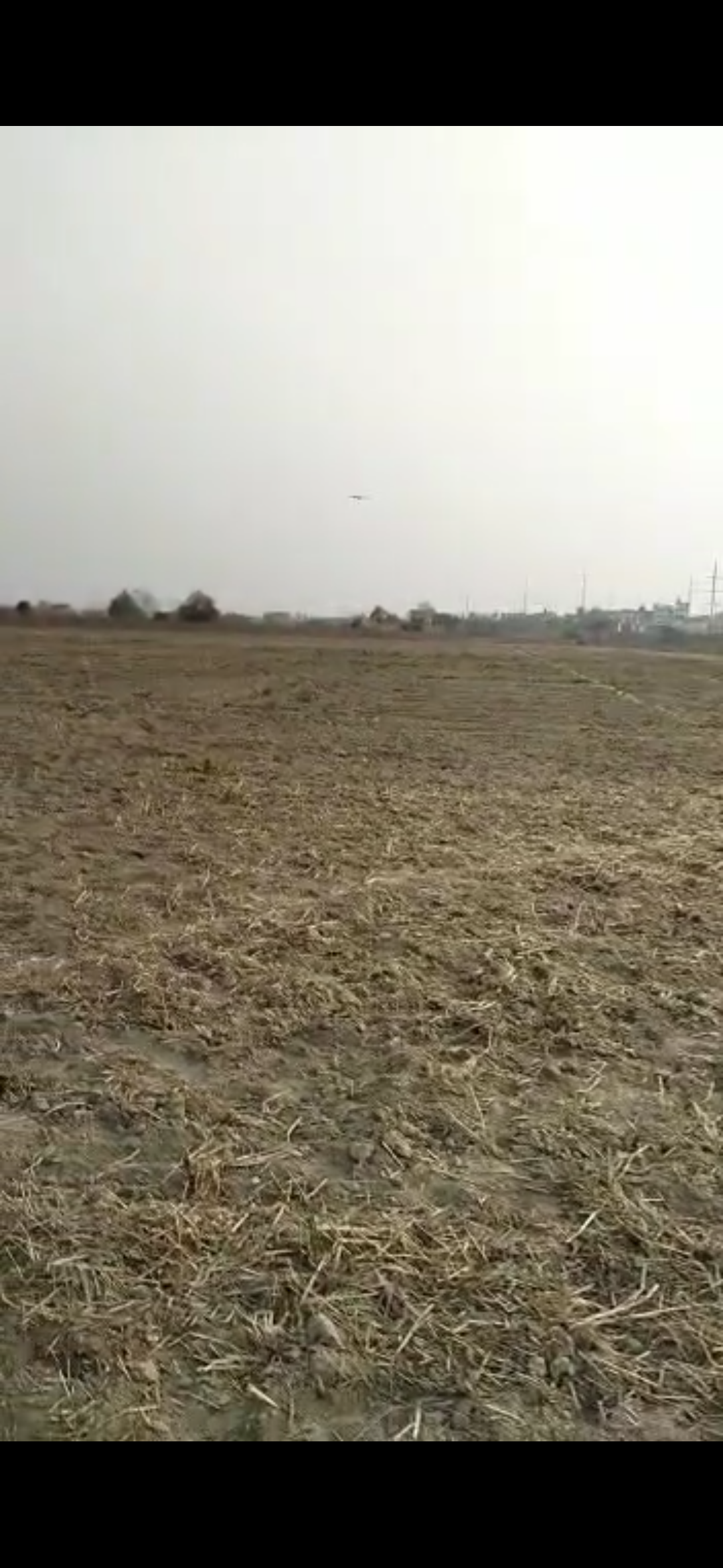 Plot For Sale in Yamuna Expressway 