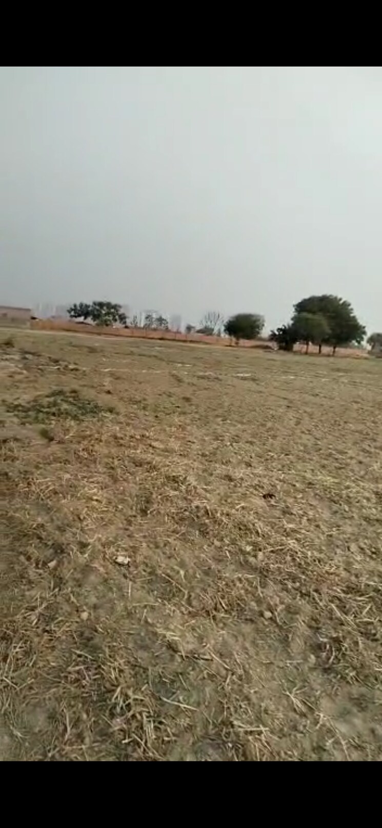 undefined, sector 18  300 Sq.Mt. Plot In Sector 18 Noida 8992901