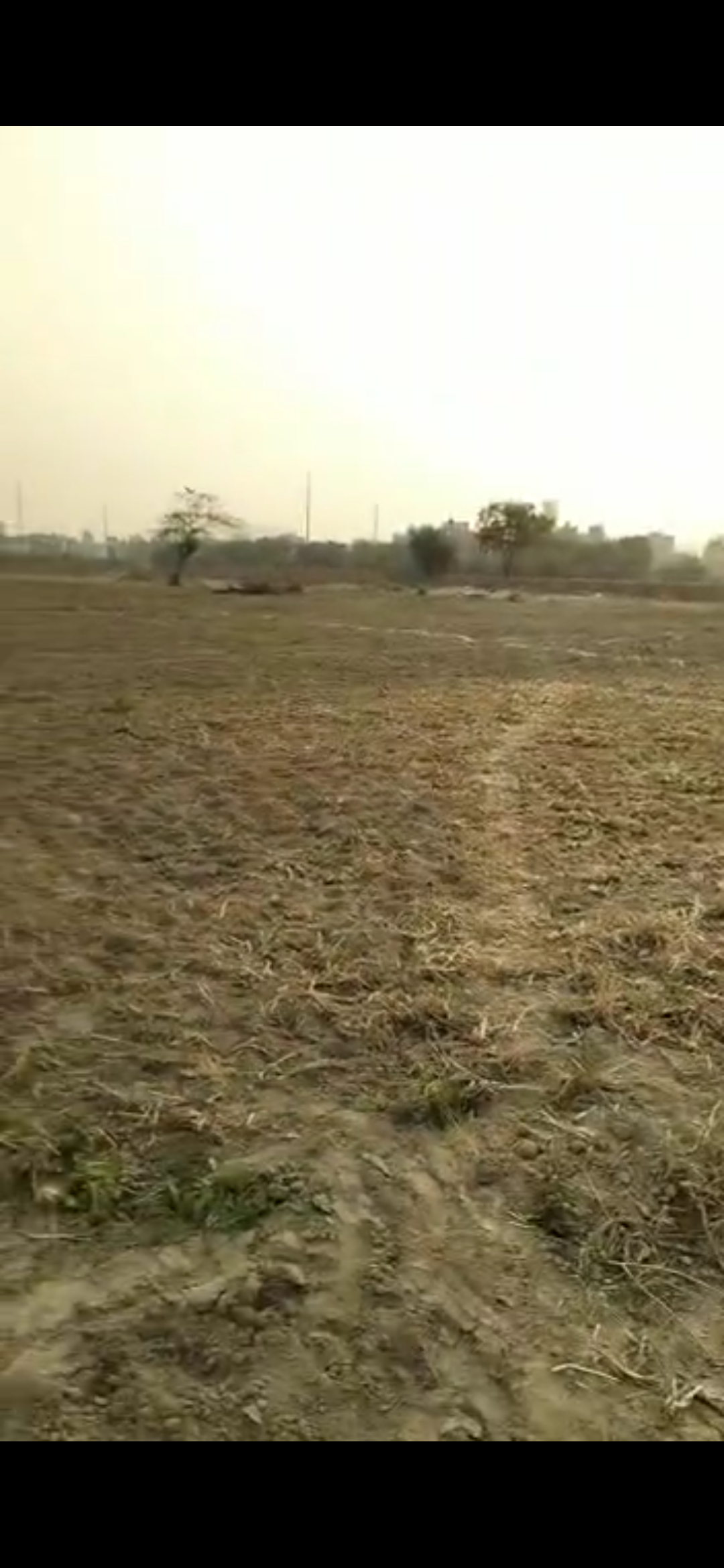 Plot For Sale in Yamuna Expressway 