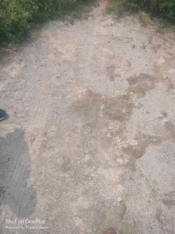 undefined, khodna kalan  50 Sq.Yd. Plot In Khodna Kalan Greater Noida 8993190