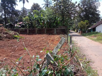 Plot Area in  Plot at Mannuthy – for Sale