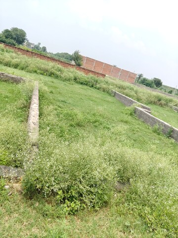 Plot Area in  Plot at Khodna Kalan – for Sale