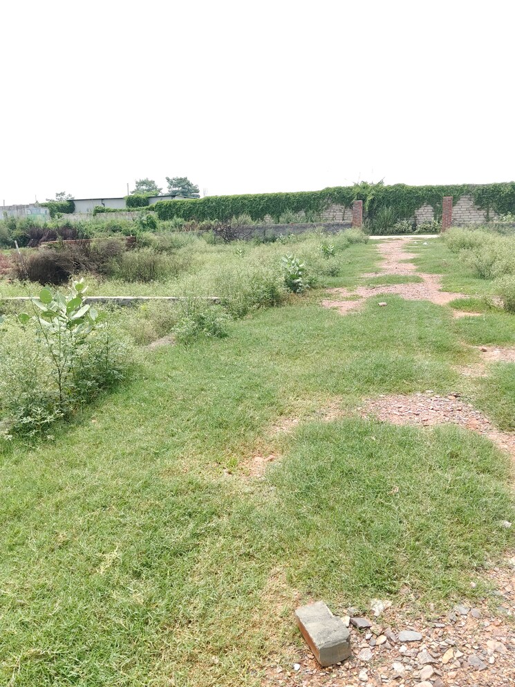 undefined, khodna kalan  80 Sq.Yd. Plot In Khodna Kalan Greater Noida 8993493
