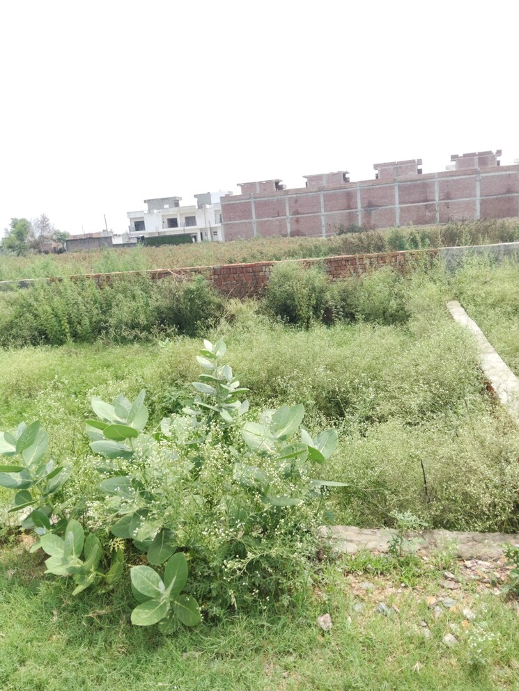 undefined, khodna kalan  100 Sq.Yd. Plot In Khodna Kalan Greater Noida 8993595