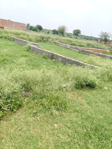 Plot Area in  Plot at Khodna Kalan – for Sale