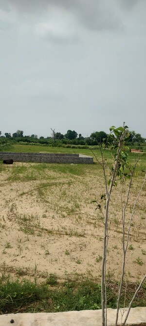  Plot For Sale in Noida Central